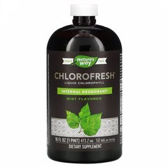Nature's Way, Chlorofresh, рідкий хлорофіл, м'ятний, 16 рідких унцій (473,2 мл)